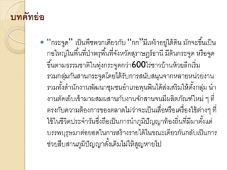 บทคัทย่ อ


“กระจูด” เป็ นพืชพวกเดียวกับ “กก”มีเหง้ าอยู่ใต้ ดิน มักจะขึ ้นเป็ น
กอใหญ่ในพื ้นที่ป่าพรุพื ้นที่จงหวัดสุราษฎร์ ธานี มีต้นกระจูด หรื อจูด
ั
ขึ ้นตามธรรมชาติในทุงกระจูดกว่า600ไร่ชาวบ้ านห้ วยลึกเริ่ ม
่
รวมกลุมกันสานกระจูดโดยได้ รับการสนับสนุนจากหลายหน่วยงาน
่
รวมทังสานักงานพัฒนาชุมชนอาเภอพุนพินได้ สงเสริ มให้ ตงกลุม นา
้
่
ั้ ่
งานตัดเย็บเข้ ามาผสมผสานกับงานจักสานจนมีผลิตภัณฑ์ใหม่ ๆ ที่
ตรงกับความต้ องการของตลาดไม่วาจะเป็ นเสื่อหรื อเครื่ องใช้ ตางๆ ที่
่
่
ใช้ ในชีวิตประจาวันซึงถือเป็ นการนาภูมิปัญญาท้ องถิ่นที่มีมาตังแต่
่
้
บรรพบุรุษมาต่อยอดในการสร้ างรายได้ ในขณะเดียวกันกลับเป็ นการ
ช่วยสืบสานภูมิปัญญาดังเดิมไม่ให้ สญหายไป
้
ู

 