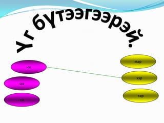 мар
чи
хэр
ша
тар
са

 