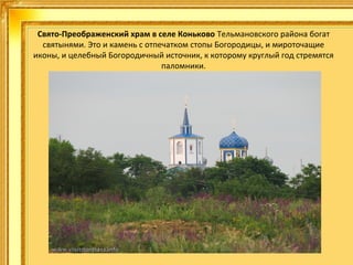 Свято-Преображенский храм в селе Коньково Тельмановского района богат 
святынями. Это и камень с отпечатком стопы Богородицы, и мироточащие 
иконы, и целебный Богородичный источник, к которому круглый год стремятся 
паломники.

 