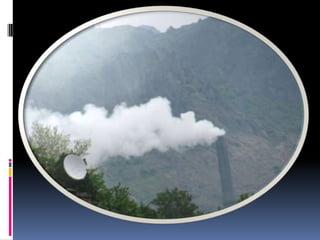 կենսաբ