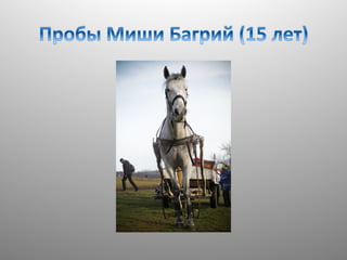 развивающие путешестия с лагерем экстремал. финляндия. 
