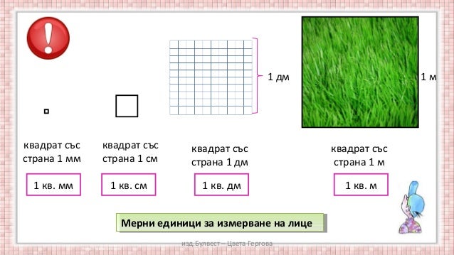 лице на правоъгълник
