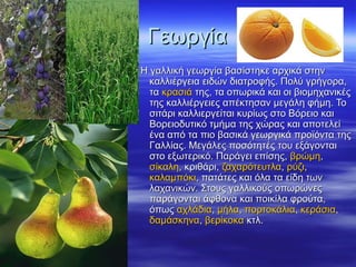 Γεωργία
Η γαλλική γεωργία βασίστηκε αρχικά στην
καλλιέργεια ειδών διατροφής. Πολύ γρήγορα,
τα κρασιά της, τα οπωρικά και οι βιομηχανικές
της καλλιέργειες απέκτησαν μεγάλη φήμη. Το
σιτάρι καλλιεργείται κυρίως στο Βόρειο και
Βορειοδυτικό τμήμα της χώρας και αποτελεί
ένα από τα πιο βασικά γεωργικά προϊόντα της
Γαλλίας. Μεγάλες ποσότητές του εξάγονται
στο εξωτερικό. Παράγει επίσης, βρώμη,
σίκαλη, κριθάρι, ζαχαρότευτλα, ρύζι,
καλαμπόκι, πατάτες και όλα τα είδη των
λαχανικών. Στους γαλλικούς οπωρώνες
παράγονται άφθονα και ποικίλα φρούτα,
όπως αχλάδια, μήλα, πορτοκάλια, κεράσια,
δαμάσκηνα, βερίκοκα κτλ.

 