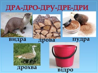 видра

дрохва

дрова

пудра

відро

 