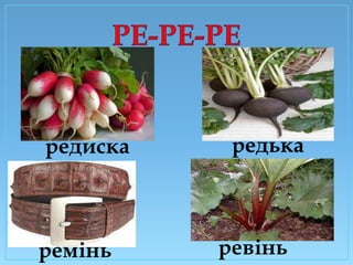 редиска

ремінь

редька

ревінь

 