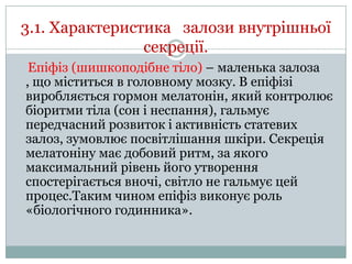 3.1. Характеристика залози внутрішньої
секреції.
Епіфіз (шишкоподібне тіло) – маленька залоза
, що міститься в головному мозку. В епіфізі
виробляється гормон мелатонін, який контролює
біоритми тіла (сон і неспання), гальмує
передчасний розвиток і активність статевих
залоз, зумовлює посвітлішання шкіри. Секреція
мелатоніну має добовий ритм, за якого
максимальний рівень його утворення
спостерігається вночі, світло не гальмує цей
процес.Таким чином епіфіз виконує роль
«біологічного годинника».

 
