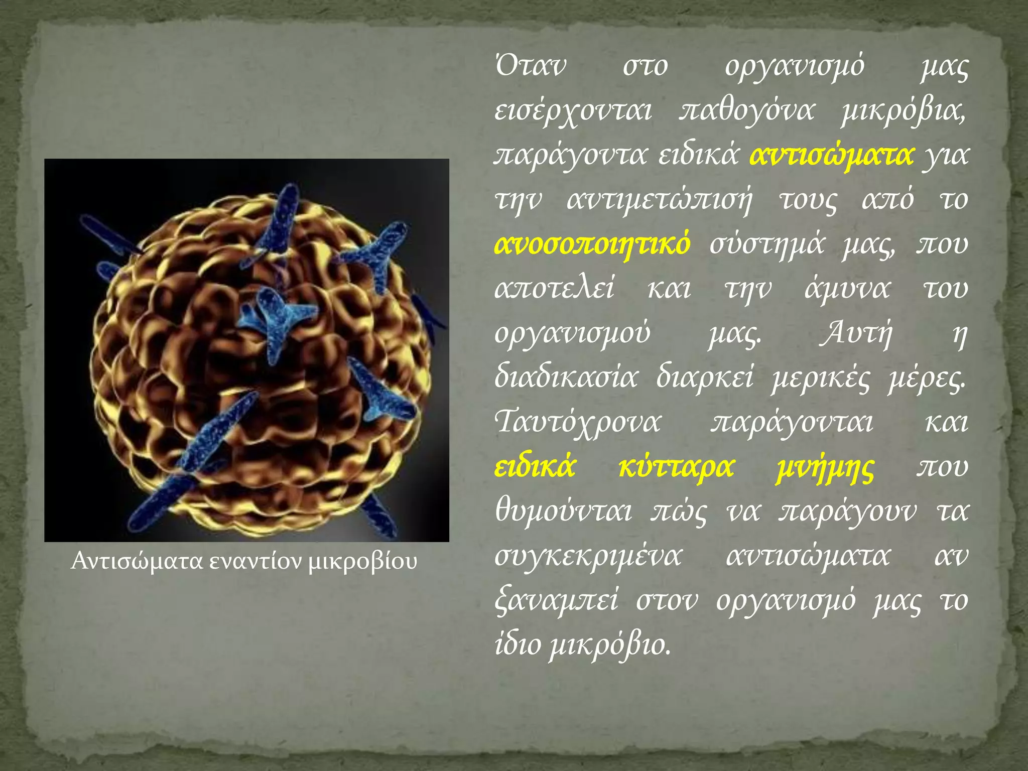 Αντιςώματα εναντίον μικροβίου

Όταν
στο
οργανισμό
μας
εισέρχονται παθογόνα μικρόβια,
παράγοντα ειδικά αντισώματα για
την αντιμετώπισή τους από το
ανοσοποιητικό σύστημά μας, που
αποτελεί και την άμυνα του
οργανισμού
μας.
Αυτή
η
διαδικασία διαρκεί μερικές μέρες.
Ταυτόχρονα παράγονται και
ειδικά κύτταρα μνήμης που
θυμούνται πώς να παράγουν τα
συγκεκριμένα αντισώματα αν
ξαναμπεί στον οργανισμό μας το
ίδιο μικρόβιο.

 