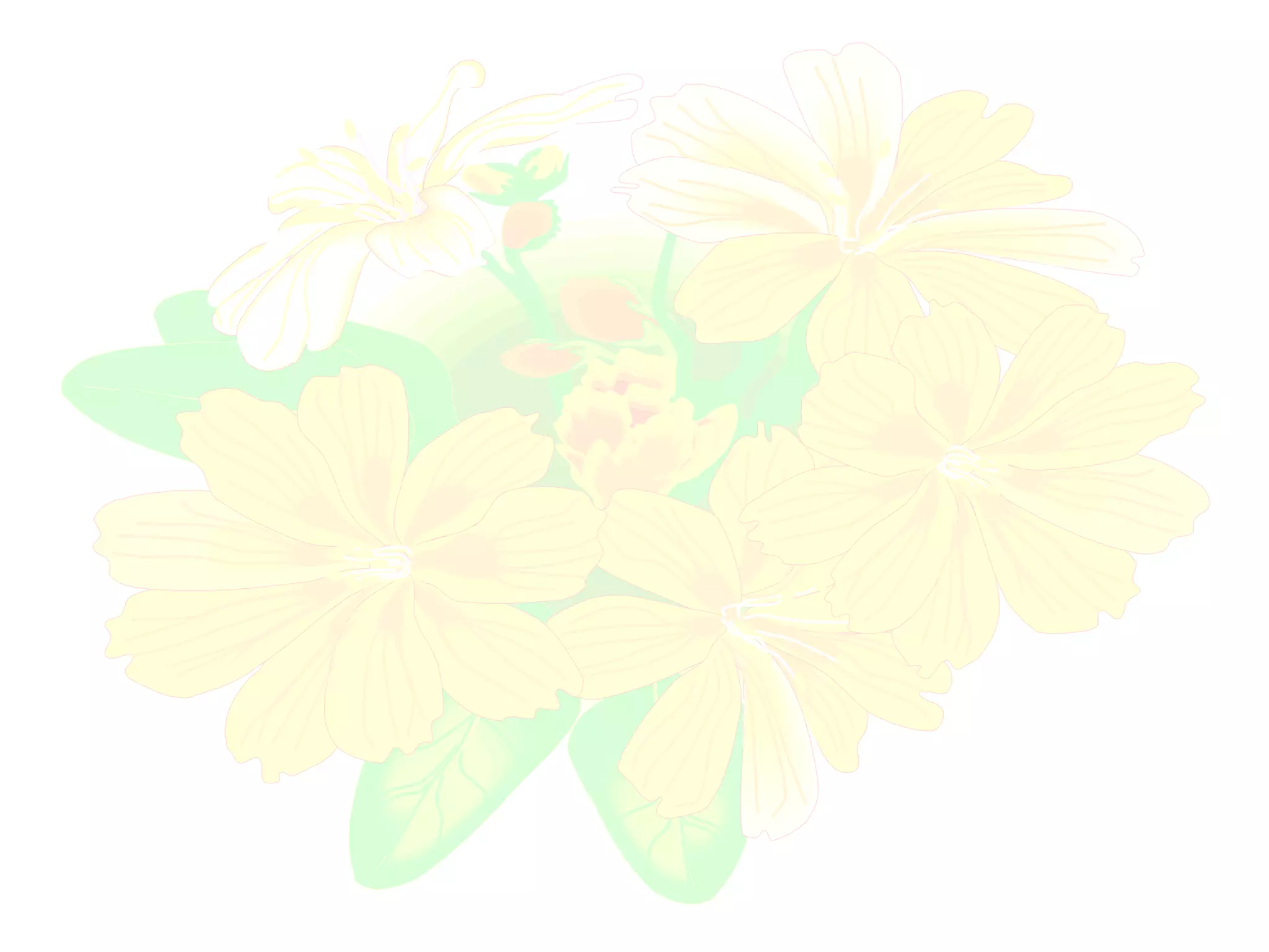 ธนะรัชต์ นามผลดี การสรรหาคัดกรองผู้เสพ ผู้ติดยาเสพติด