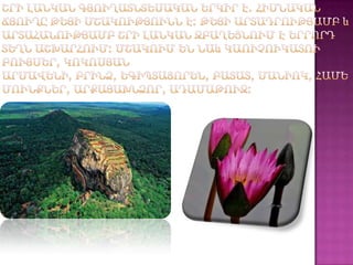 շրի լանկա