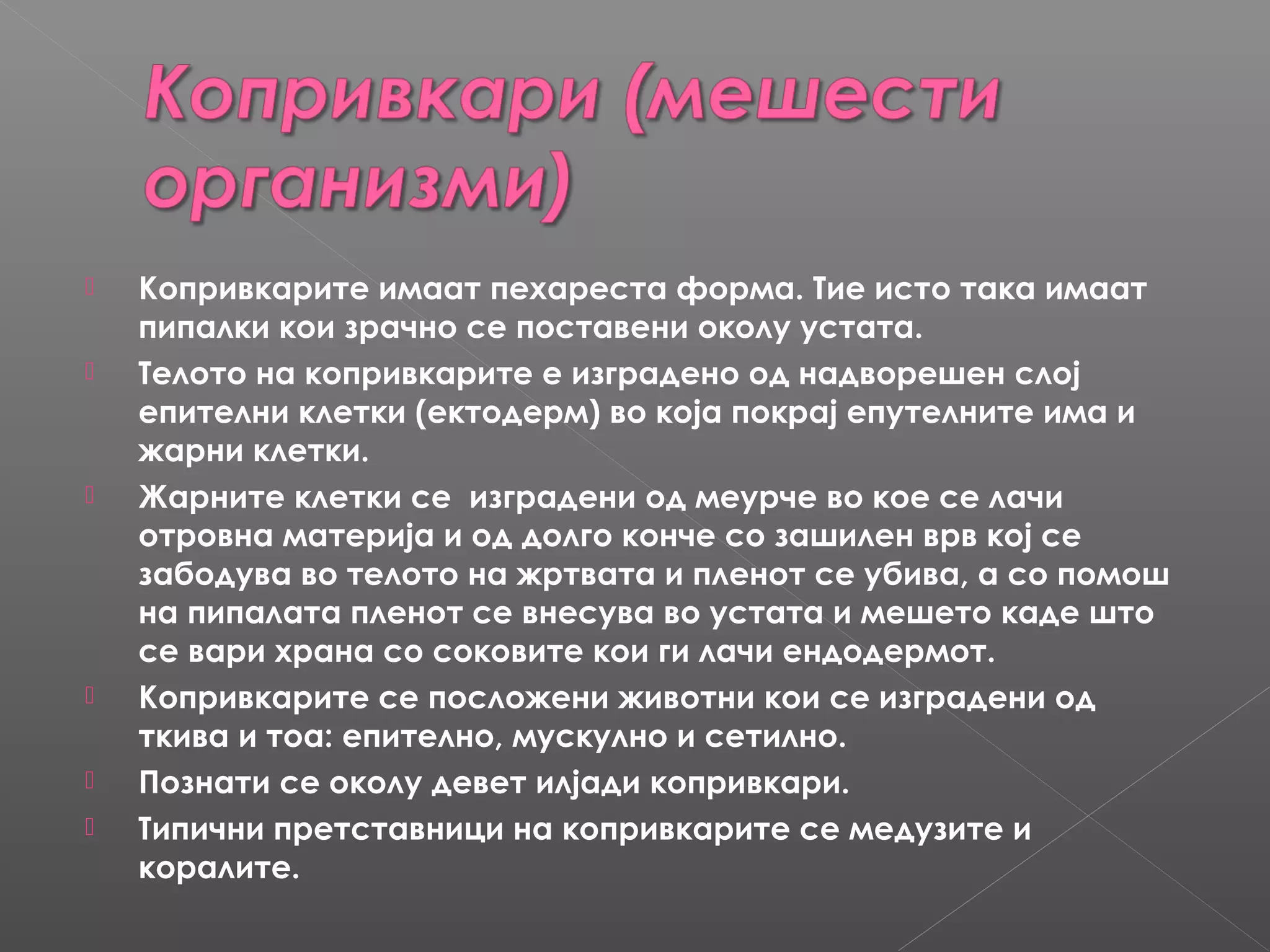 








Копривкарите имаат пехареста форма. Тие исто така имаат
пипалки кои зрачно се поставени околу устата.
Телото на копривкарите е изградено од надворешен слој
епителни клетки (ектодерм) во која покрај епутелните има и
жарни клетки.
Жарните клетки се изградени од меурче во кое се лачи
отровна материја и од долго конче со зашилен врв кој се
забодува во телото на жртвата и пленот се убива, а со помош
на пипалата пленот се внесува во устата и мешето каде што
се вари храна со соковите кои ги лачи ендодермот.
Копривкарите се посложени животни кои се изградени од
ткива и тоа: епително, мускулно и сетилно.
Познати се околу девет илјади копривкари.
Типични претставници на копривкарите се медузите и
коралите.

 