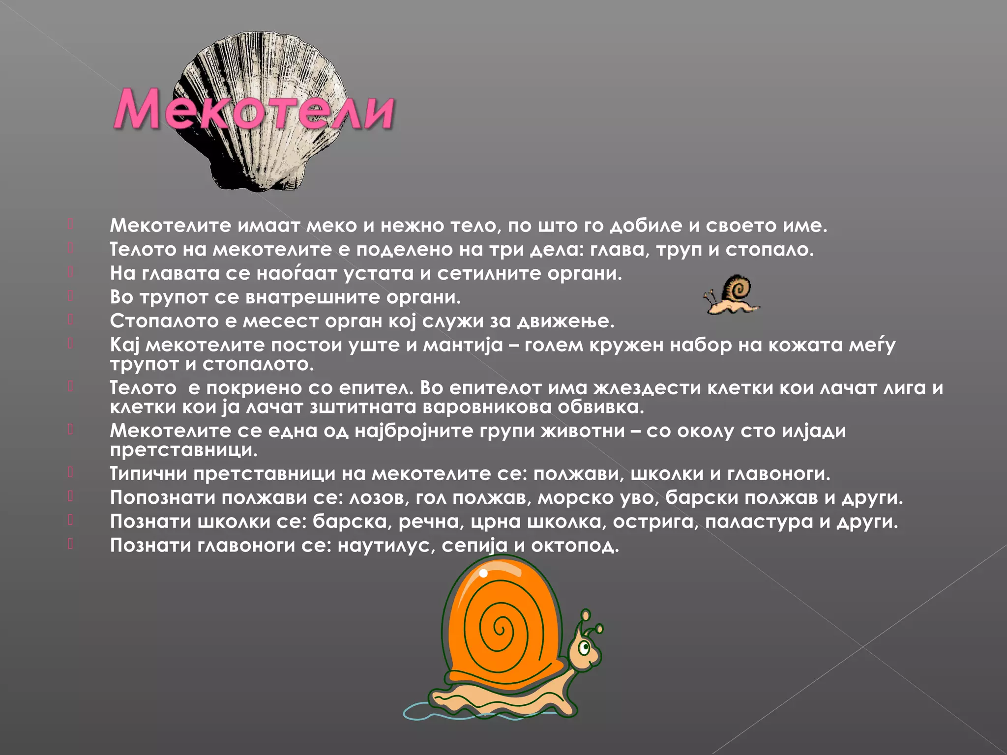 












Мекотелите имаат меко и нежно тело, по што го добиле и своето име.
Телото на мекотелите е поделено на три дела: глава, труп и стопало.
На главата се наоѓаат устата и сетилните органи.
Во трупот се внатрешните органи.
Стопалото е месест орган кој служи за движење.
Кај мекотелите постои уште и мантија – голем кружен набор на кожата меѓу
трупот и стопалото.
Телото е покриено со епител. Во епителот има жлездести клетки кои лачат лига и
клетки кои ја лачат зштитната варовникова обвивка.
Мекотелите се една од најбројните групи животни – со околу сто илјади
претставници.
Типични претставници на мекотелите се: полжави, школки и главоноги.
Попознати полжави се: лозов, гол полжав, морско уво, барски полжав и други.
Познати школки се: барска, речна, црна школка, острига, паластура и други.
Познати главоноги се: наутилус, сепија и октопод.

 