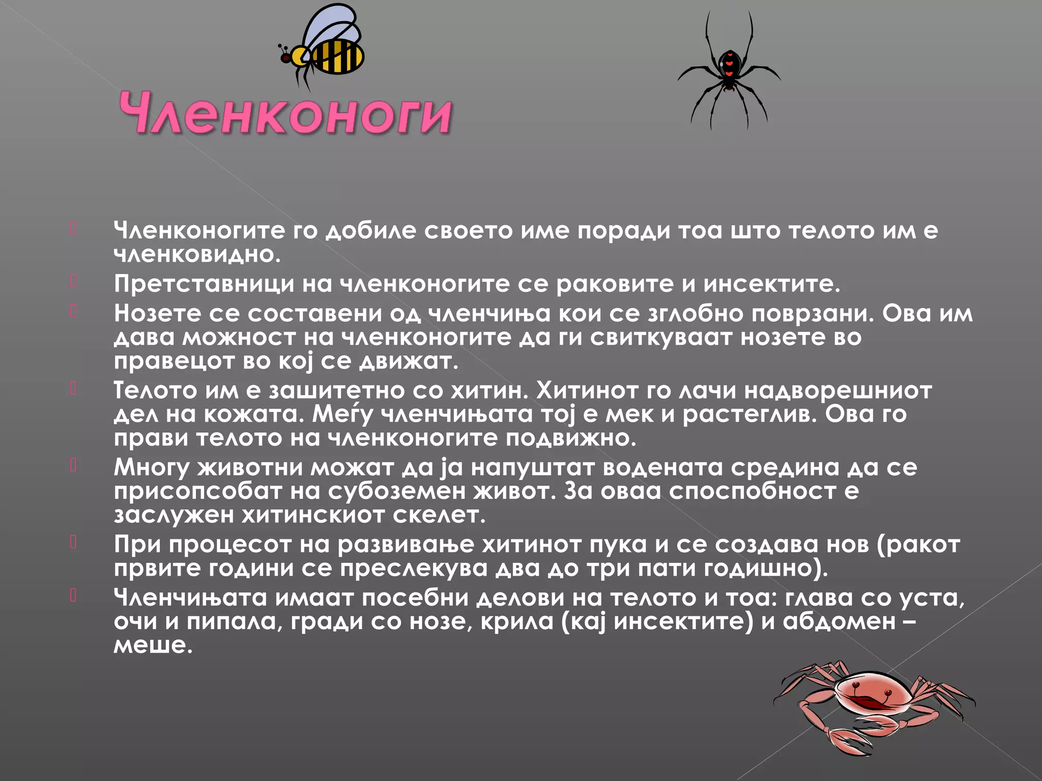 










Членконогите го добиле своето име поради тоа што телото им е
членковидно.
Претставници на членконогите се раковите и инсектите.
Нозете се составени од членчиња кои се зглобно поврзани. Ова им
дава можност на членконогите да ги свиткуваат нозете во
правецот во кој се движат.
Телото им е зашитетно со хитин. Хитинот го лачи надворешниот
дел на кожата. Меѓу членчињата тој е мек и растеглив. Ова го
прави телото на членконогите подвижно.
Многу животни можат да ја напуштат водената средина да се
присопсобат на субоземен живот. За оваа споспобност е
заслужен хитинскиот скелет.
При процесот на развивање хитинот пука и се создава нов (ракот
првите години се преслекува два до три пати годишно).
Членчињата имаат посебни делови на телото и тоа: глава со уста,
очи и пипала, гради со нозе, крила (кај инсектите) и абдомен –
меше.

 