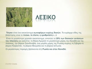 Μαύρη αρκούδα

Η ακεξηθάληθε Μαύξε αξθνύδα δεη ζηα δάζε ηεο Βόξεηαο Ακεξηθήο.
΢ΣΑΤΡΟΤ ΖΛΙΑΝΑ

 