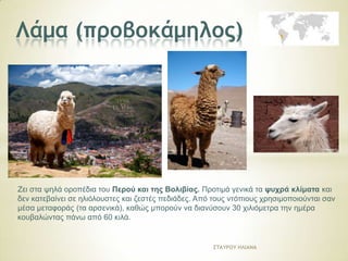 Γκουαμάκο

Σν ζπλαληάκε ζηε Ννηηνδπηηθή Ακεξηθή από ην Νόηην Πεξνύ σο ηελ Παηαγνλία. Ζεη
ζηνπο πξόπνδεο ησλ Άλδεσλ ζε πςόκεηξν κέρξη 4.000κ.
Σξώεη δηάθνξα ρόξηα θαη ζάκλνπο.

΢ΣΑΤΡΟΤ ΖΛΙΑΝΑ

 