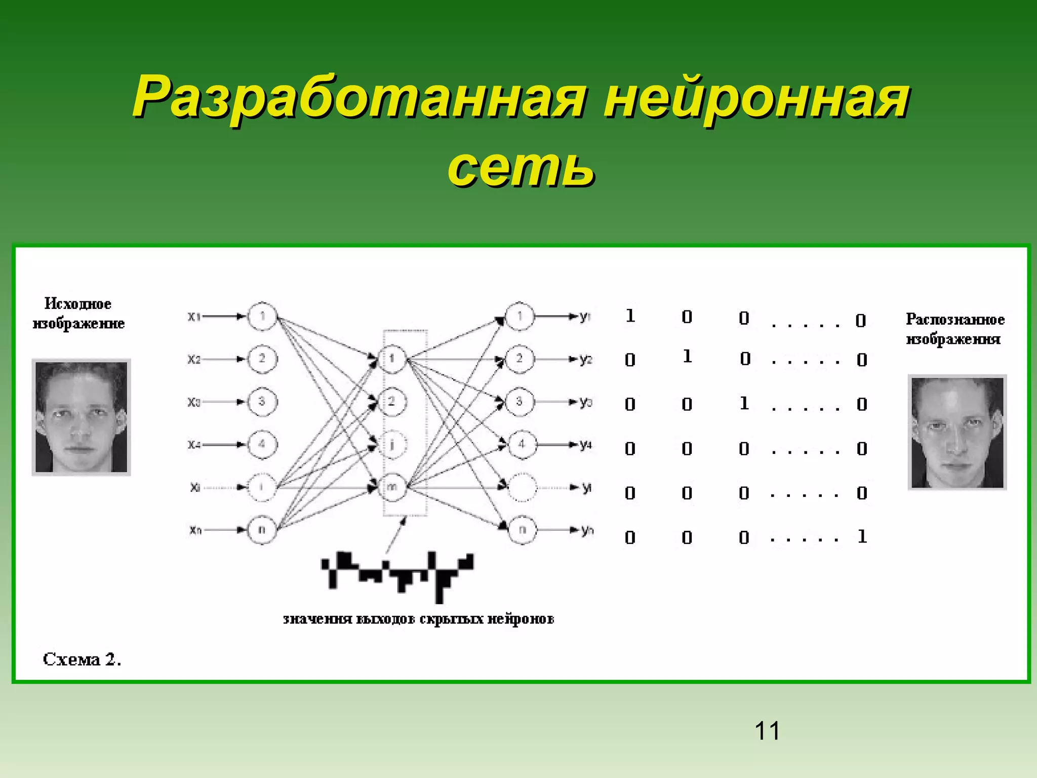 Разработанная нейронная
сеть

11

 