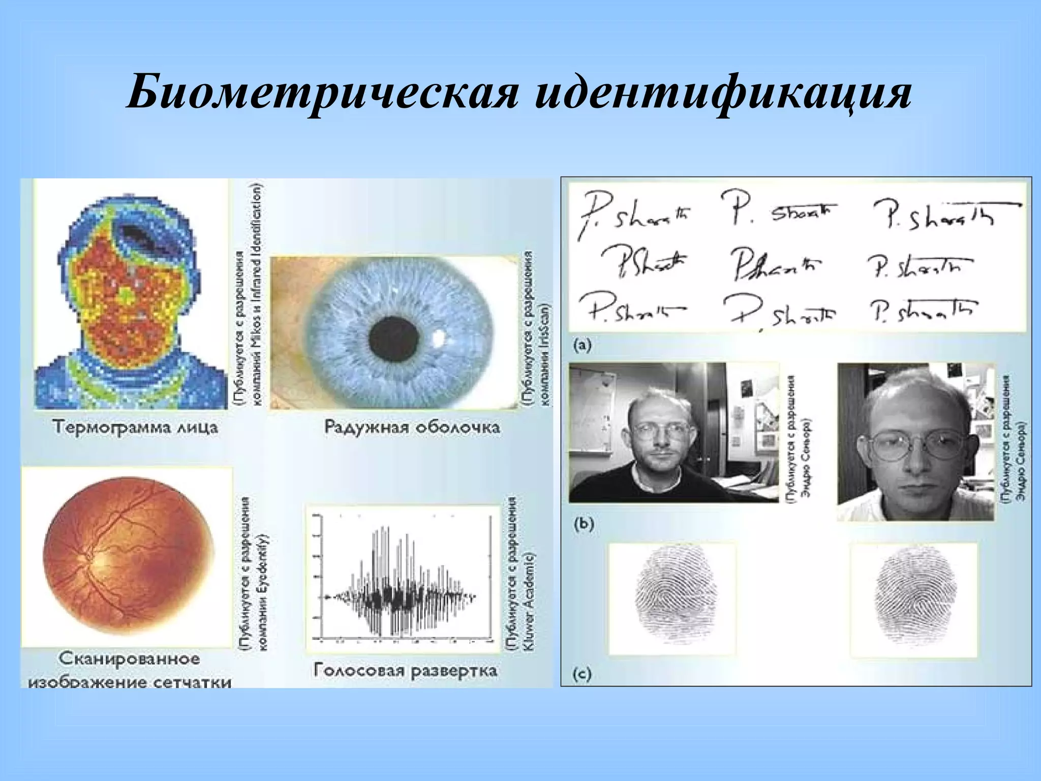 Биометрическая идентификация

 