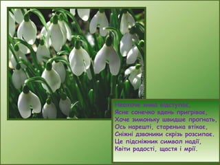Неохоче зима відступає,
Ясне сонечко вдень пригріває,
Хоче зимоньку швидше прогнать,
Ось нарешті, старенька втікає,
Сніжні дзвоники скрізь розсипає.
Це підсніжник символ надії,
Квіти радості, щастя і мрії.

 