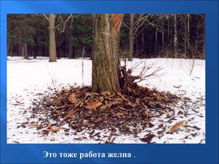 Это тоже работа желна .

 