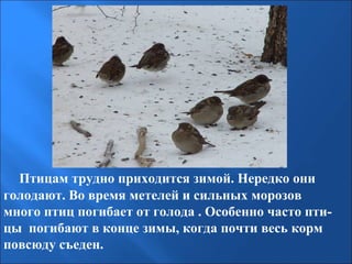 Птицам трудно приходится зимой. Нередко они
голодают. Во время метелей и сильных морозов
много птиц погибает от голода . Особенно часто птицы погибают в конце зимы, когда почти весь корм
повсюду съеден.

 