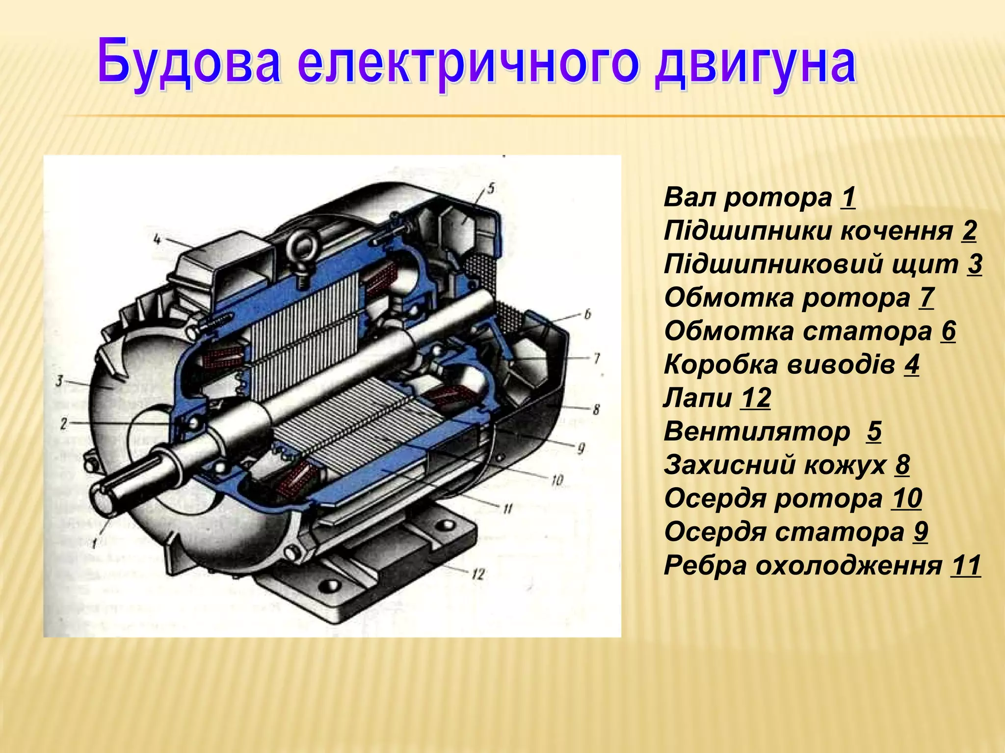 Вал ротора 1
Підшипники кочення 2
Підшипниковий щит 3
Обмотка ротора 7
Обмотка статора 6
Коробка виводів 4
Лапи 12
Вентилятор 5
Захисний кожух 8
Осердя ротора 10
Осердя статора 9
Ребра охолодження 11

 