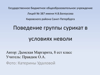 Государственное бюджетное общеобразовательное учреждение

Лицей № 387 имени Н.В.Белоусова
Кировского района Санкт-Петербурга

Поведение группы сурикат в
условиях неволи
Автор: Дымская Маргарита, 8 ест класс
Учитель: Правдюк О.А.

Фото: Катерины Удаловой

 