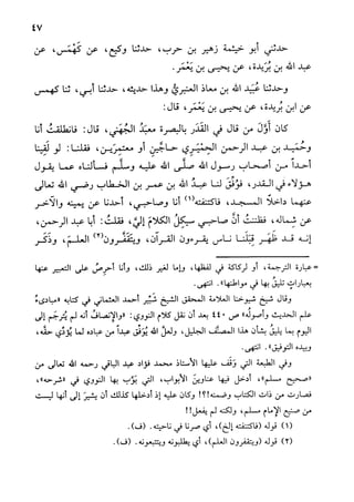 الأوائل السنبلية