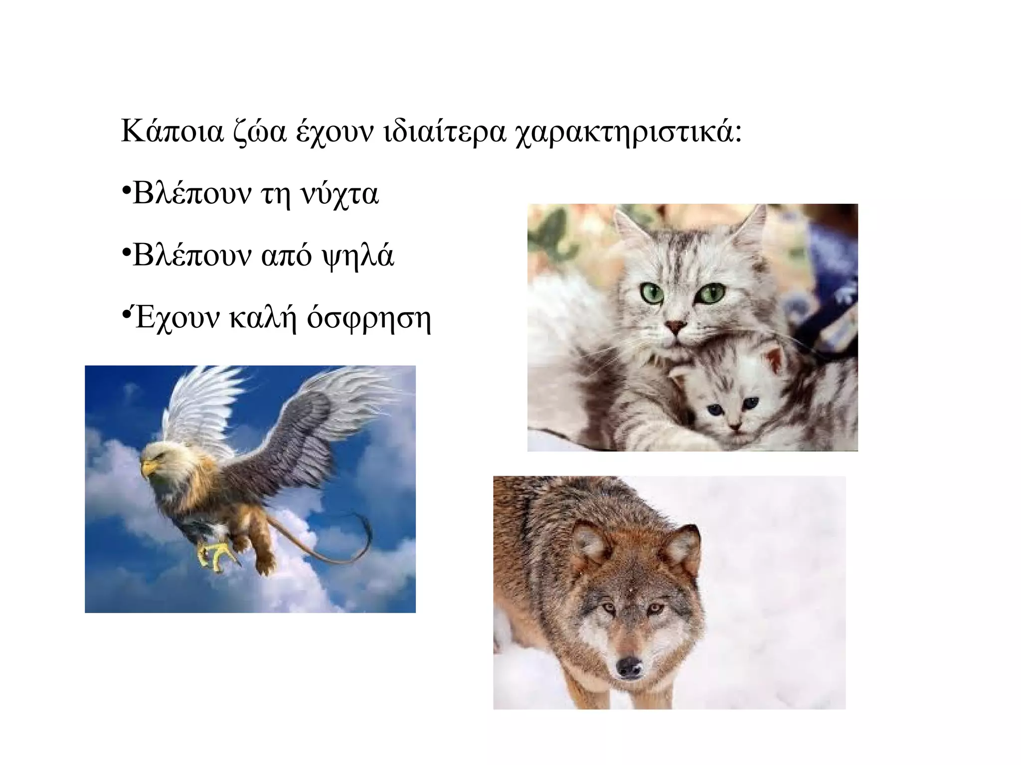 Κάποια ζώα έχουν ιδιαίτερα χαρακτηριστικά:
•Βλέπουν τη νύχτα
•Βλέπουν από ψηλά
•Έχουν καλή όσφρηση
 