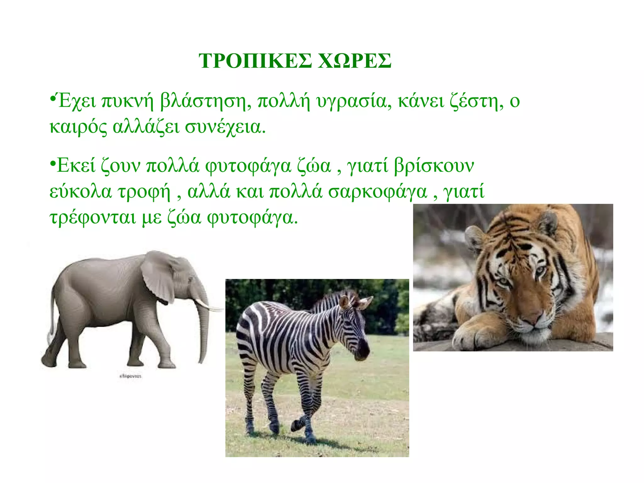 ΤΡΟΠΙΚΕΣ ΧΩΡΕΣ
•Έχει πυκνή βλάστηση, πολλή υγρασία, κάνει ζέστη, ο
καιρός αλλάζει συνέχεια.
•Εκεί ζουν πολλά φυτοφάγα ζώα , γιατί βρίσκουν
εύκολα τροφή , αλλά και πολλά σαρκοφάγα , γιατί
τρέφονται με ζώα φυτοφάγα.
 