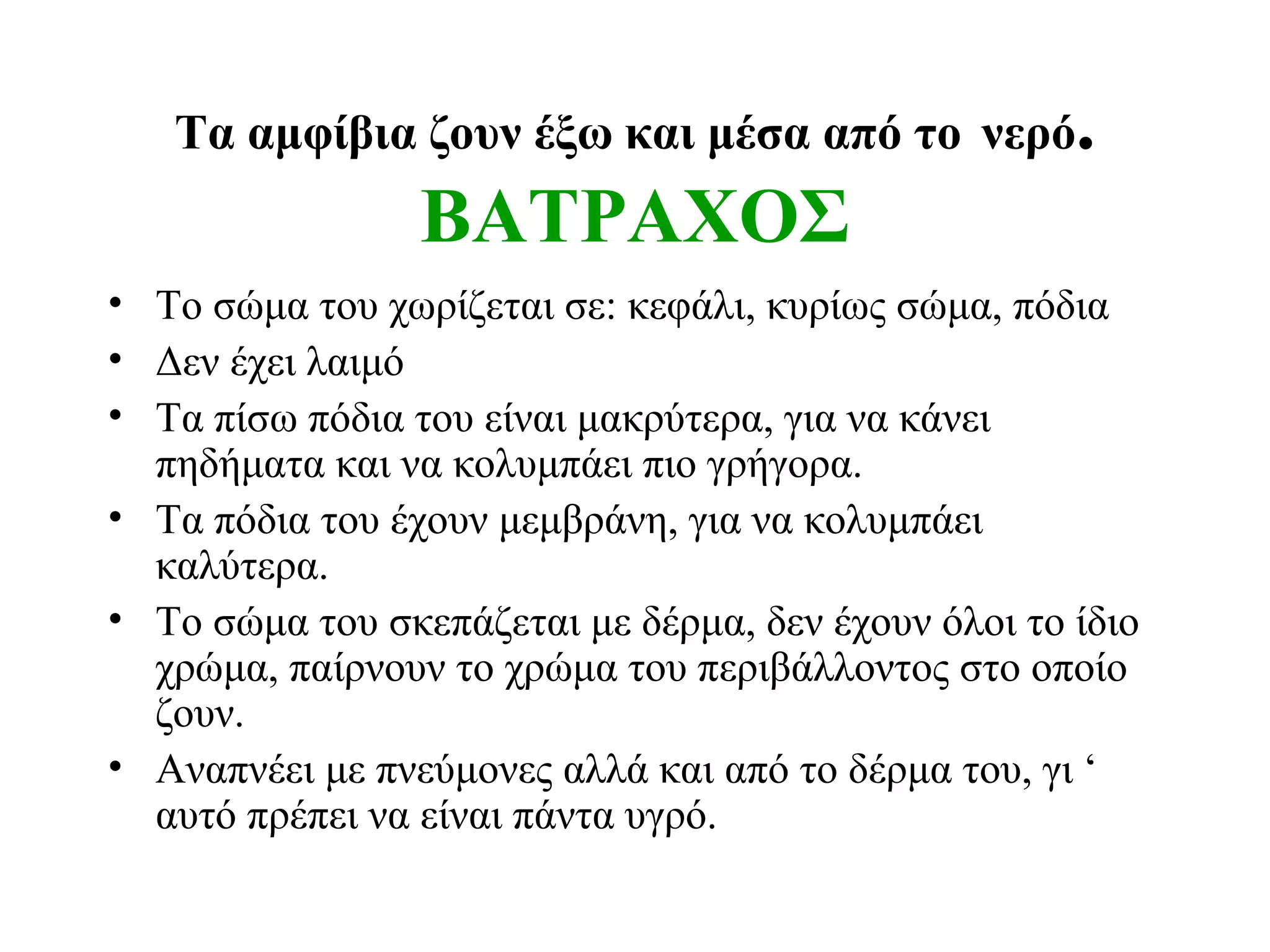 Τα αμφίβια ζουν έξω και μέσα από το νερό.

ΒΑΤΡΑΧΟΣ
• Το σώμα του χωρίζεται σε: κεφάλι, κυρίως σώμα, πόδια
• Δεν έχει λαιμό
• Τα πίσω πόδια του είναι μακρύτερα, για να κάνει
πηδήματα και να κολυμπάει πιο γρήγορα.
• Τα πόδια του έχουν μεμβράνη, για να κολυμπάει
καλύτερα.
• Το σώμα του σκεπάζεται με δέρμα, δεν έχουν όλοι το ίδιο
χρώμα, παίρνουν το χρώμα του περιβάλλοντος στο οποίο
ζουν.
• Αναπνέει με πνεύμονες αλλά και από το δέρμα του, γι ‘
αυτό πρέπει να είναι πάντα υγρό.

 