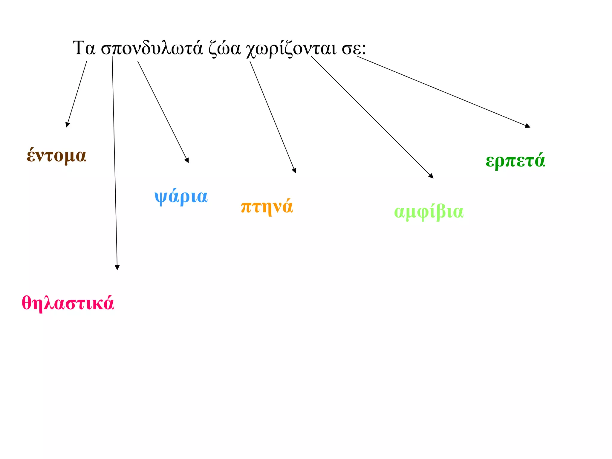 Τα σπονδυλωτά ζώα χωρίζονται σε:

έντομα

ερπετά
ψάρια

θηλαστικά

πτηνά

αμφίβια

 