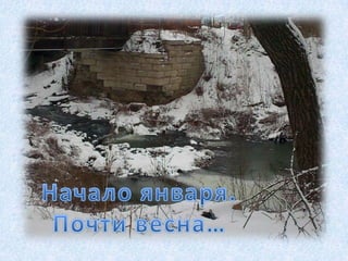 наши фотографии