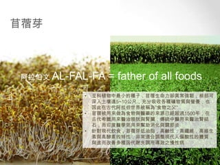 苜蓿芽

阿拉伯文 AL-FAL-FA
•
•

•

= father of all foods

豆科植物中最小的種子，苜蓿生命力卻異常強韌，根部可
深入土壤達5~10公尺，充分吸收各種礦物質與營養，也
因此在古代阿拉伯世界被稱為”食物之父”
苜蓿被用來做為食物與醫藥的來源已經超過1500年，在
古代希臘用來醫治膀胱與腎臟，傳統中醫用來醫治腎結
石，而印度醫學則用來幫助消化與關節炎
針對現代飲食，苜蓿芽低油脂，高鹼性，高纖維，高維生
素與高酵素的特性，非常適合調整現代人偏酸性的體質，
與進而改善多種因代謝失調所導致之慢性病

 