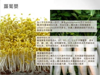 蘿蔔嬰
為十字花科家族一份子，富含glucoraphanin(芥子油苷的一
種)等珍貴植物生化素，有助引發人體內第二相解毒酵素
(phase II enzyme)的作用產生、保護人體健康細胞不受具化
學毒性作用影響
維他命的化身
蘿蔔嬰富含維他命A、B1、B2、C、E以及胡蘿蔔素，還有
鈣、鐵、磷、鎂、鋅等礦物質。日本人將其視為天然維他命
的化身。其中維他命A，更高達柑橘的50倍
豐富礦物質鎂鋅
鎂提供許多人體內生化代謝作用的鎂，具有調節神經細胞與
肌肉收縮的功能，不僅能消除疲勞，鎮定精神，也具有改善
失眠的效果。鋅是人體內胰島素及多種酵素的成分，參與核
酸及蛋白質合成以及能量代謝，可加速傷口復原

 