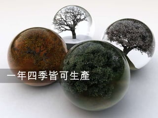 一年四季皆可生產

 