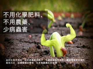 不用化學肥料、
不用農藥、
少病蟲害

由於生長天期短，相對病蟲害問題少，也更容易採用相對人體與環境更友善的
栽培方式，這樣種植的環境，也更兼顧農友的健康

 