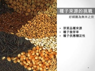 種子來源的挑戰
好婦難為無米之炊
• 芽菜品種來源
• 種子發芽率
• 種子供應穩定性

 
