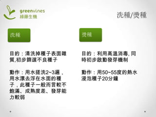洗種/燙種
洗種

燙種

目的：清洗掉種子表面雜
質,初步篩選不良種子

目的：利用高溫消毒, 同
時初步啟動發芽機制

動作：用水搓洗2~3遍，
用水漂去浮在水面的種
子，此種子一般而言較不
飽滿、成熟度差、發芽能
力較弱

動作：用50~55度的熱水
浸泡種子20分鐘

 