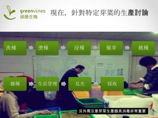 現在，針對特定芽菜的生產討論

洗種

播種

燙種

浸種

催芽

生長管理

見光

挑種

採收

另外需注意芽菜生產器具消毒非常重要

 