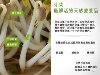 種子發芽

芽菜，
最鮮活的天然營養品
芽菜由種子發芽而來，在發芽過程中
種子會釋放所有的能量以變成一棵完
整的植物，所以種子所有生命能量與
營養精華便集中小小的芽苗體內。

生命能量
營養精華

各種維持生命成長所需養分應有盡有

胺基酸

維他命

礦物質

自然方式嵌合

能輕易在人體內被合
成有用的物質

 