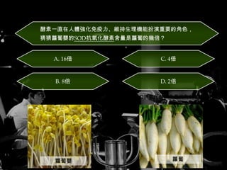 Question 2
酵素一直在人體強化免疫力、維持生理機能扮演重要的角色，
猜猜蘿蔔嬰的SOD抗氧化酵素含量是蘿蔔的幾倍？

A. 16倍

C. 4倍

B. 8倍

D. 2倍
蘿蔔嬰SOD抗氧化酵素含量約為500單位/100g

V.S
蘿蔔嬰

蘿蔔

 