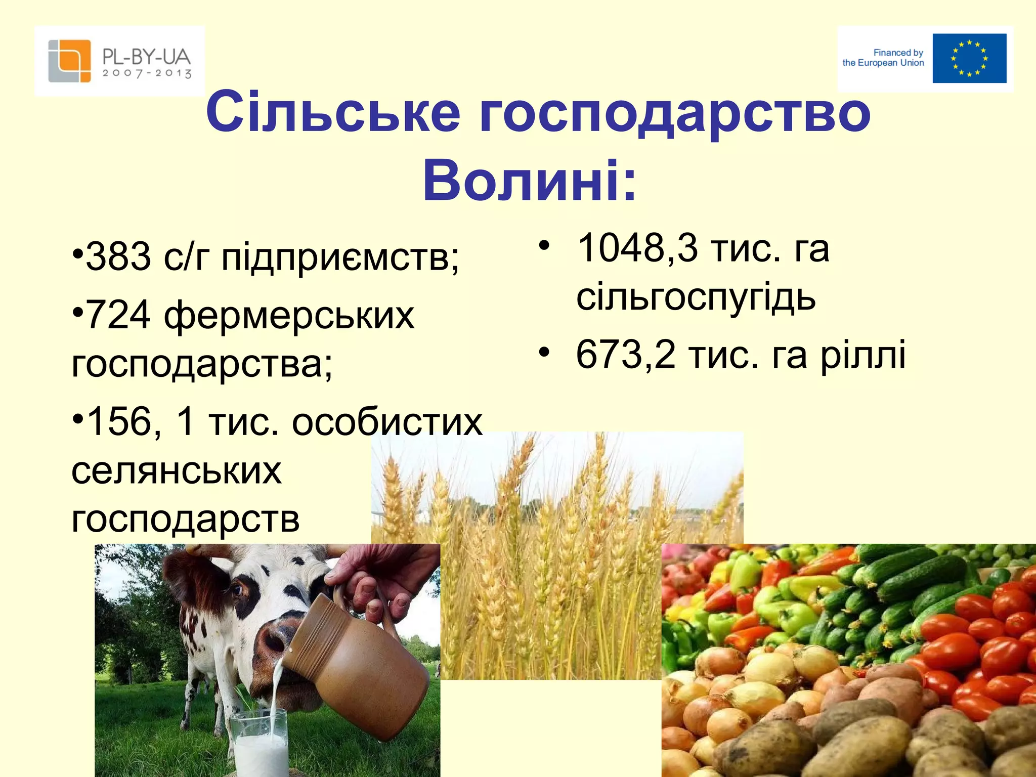 Сільське господарство
Волині:
•383 с/г підприємств;
•724 фермерських
господарства;
•156, 1 тис. особистих
селянських
господарств

• 1048,3 тис. га
сільгоспугідь
• 673,2 тис. га ріллі

 
