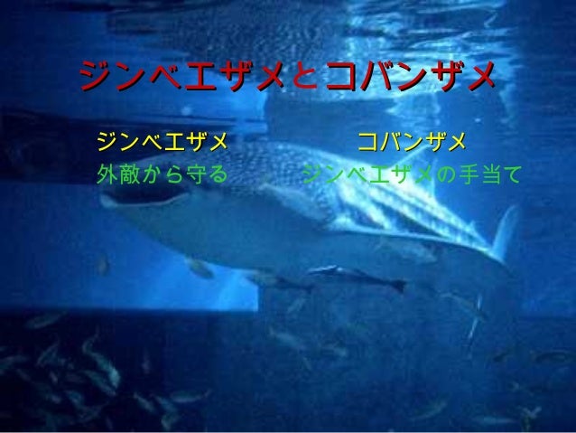 協力について 協力について