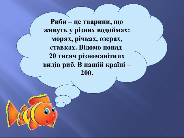 Хто такі риби?