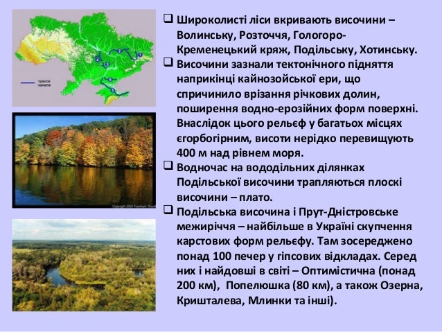 мішані та широколисті ліси