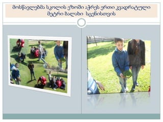 მოსწავლებმა სკოლის ეზოში აჭრეს ერთი კვადრატული
მეტრი ბალახი სცენისთვის

 