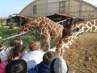 επίσκεψη στο Αττικό Ζωολογικό Πάρκο
