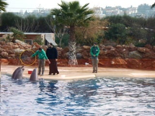 επίσκεψη στο Αττικό Ζωολογικό Πάρκο