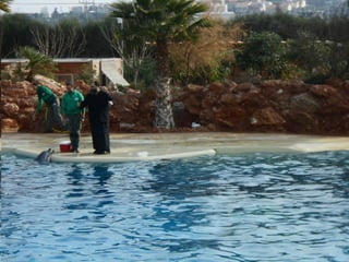 επίσκεψη στο Αττικό Ζωολογικό Πάρκο