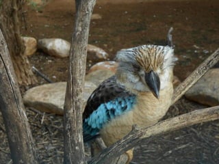 επίσκεψη στο Αττικό Ζωολογικό Πάρκο