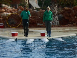 επίσκεψη στο Αττικό Ζωολογικό Πάρκο